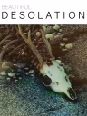 Beautiful Desolation
